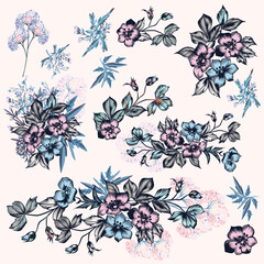 Collection of vector hand drawn flowers in vintage style