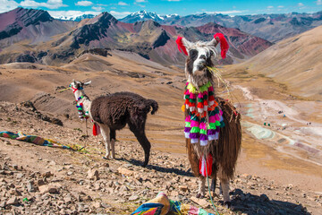 Montaña de colores en cusco © Maxi