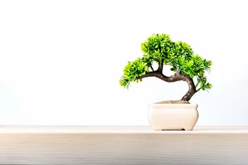 Rolgordijnen A small bonsai tree in a ceramic pot on the table. © Sergey