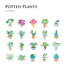 Potted Plants