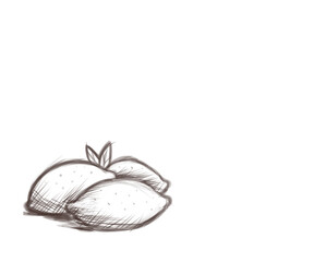 Lemons Hatched Art Technique
