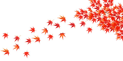 紅葉　もみじ　秋　背景
