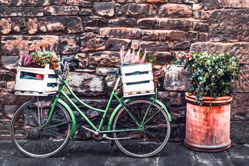 Oil painting of a bike with a basket of flowers