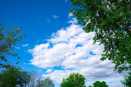 Une magnifique vue du ciel bleu