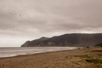 Pesqueros en playa de ecuador