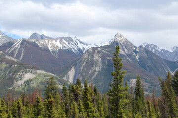 Spring On The Mountain Tops, Jasper National Park, Alberta