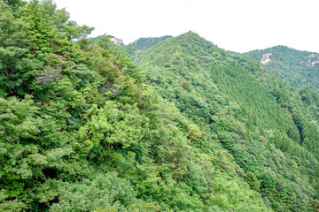 鈴鹿山脈　仙ヶ岳