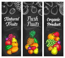 Fruits banners, chalkboard sketch farm garden food, vector orange, pineapple and mango. Tropical papaya, grapefruit citrus and grape, plum and pear, apple, pomegranate and kiwi fruits on chalk board