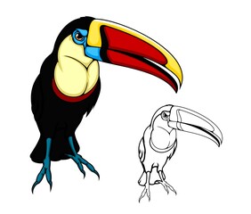 Toucan bird, tropical jungle cartoon tucan, vector isolated exotic parrot bird icon. Amazon wildlife and Brazilian fauna zoo toucan in line art design © Vector Tradition