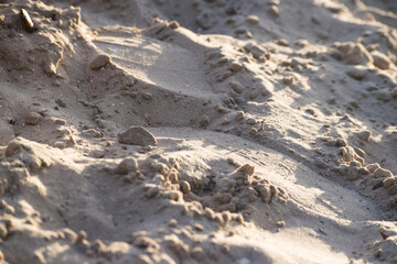 Close up of Florida sand