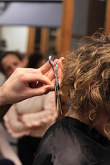 Fototapeta premium hairdresser cutting hair