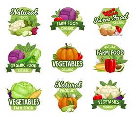 Vegetables icons, farm market food veggies, greenery products store, vector emblems. Organic farm vegetables cauliflower cabbage, asparagus, avocado and corn, pumpkin and pepper, mushroom and tomato