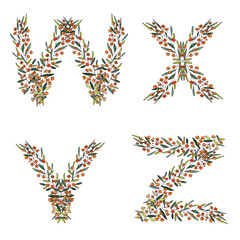 W,X,Y,Z. letters from the floral alphabet on a white background