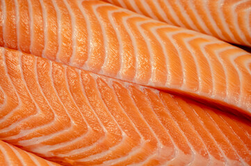 Closeup fresh raw Atlantic salmon fillets.