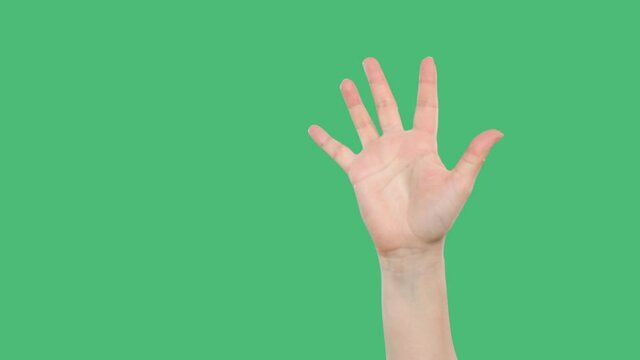 Фото руки для гачи