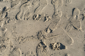 Footprint Shoe On Beach; Texture or Background