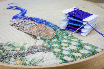 close up of peacock embroidery held in embroidery frame hoop with embroidery silks and needle, traditional hand embroidery needlework and craft at home © HollyHarry