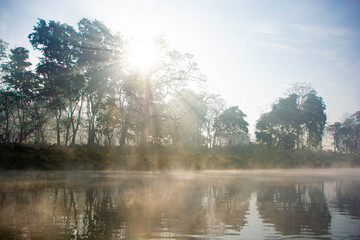 小川の木漏れ日