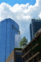 Blue buildings