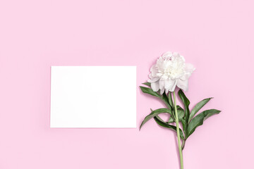 White peony and blank sheet for text on pink background. Mockup invitations or holiday greetings. Valentines day, mothers day, wedding.