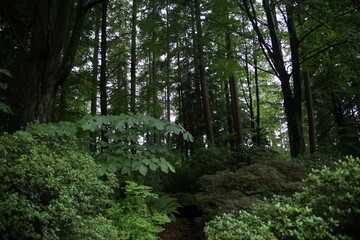 Stanley Park in Vancouver is a famous place in the city