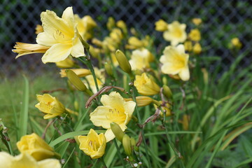 mixture of photos with texture 