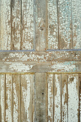 Old ragged door with peeling paint.