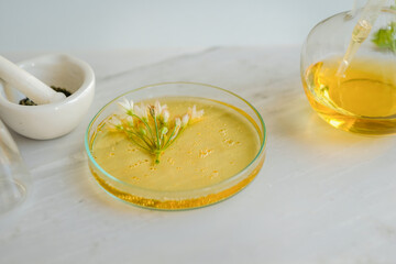 natural  essential oil for skincare on marble background with flower, leaf and pestle mortar . cosmetic beauty background.