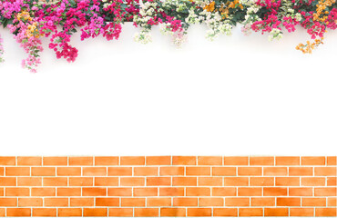 Bougainvillea with red brick wall pattern on the white cement wall background.