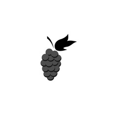 grape logo