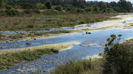 Summers day at Rio Grande, Andalusia