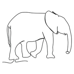 one line continuous drawing elephant animal