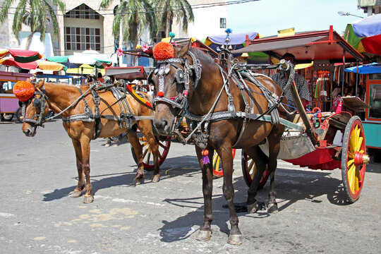 Horse and cart or Delman as transportation awaiting customers outside a traditional market in Padang City, West Sumatra, Indonesia.