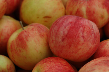 Background of red-yellow apples. A lot of juicy, ripe, bi-colored apples striped with yellow and red, seasonal fruit gathering, fall harvest in apple garden
