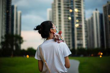 Sphinx hairless cat holds woman's shoulder and walk outdoor together, tall buildings and green...
