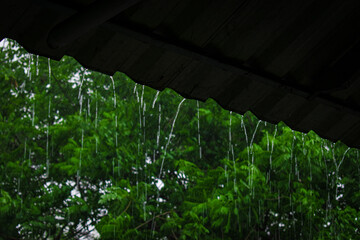 rain in the rain