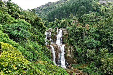 The mountains are covered with impenetrable jungle. Streams of a waterfall flow down a cliff. Sri Lanka, Nuwara Eliya.