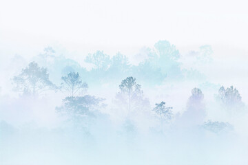 snow winter forest. silhouette forest covered in fog during winter morning. misty mountain. great outdoor location in Thailand.