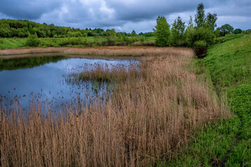 A small lake framed by last year's dry grass on a green background of grass and trees.