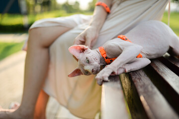 Girl and hairless cat in suit take rest  in park, the cat play with bench