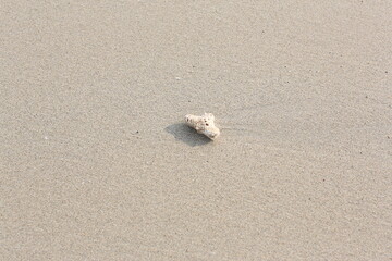 Beautiful Beach and Waves at Sunda Strait