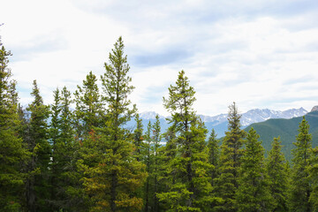 Canadian Mountains with Trees, Rocks, and Lakes