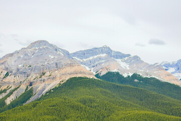 Obraz premium Canadian Mountains with Trees, Rocks, and Lakes