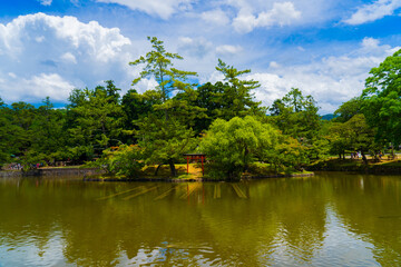 Obraz premium Landscape of Nara Park in Japan