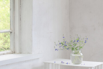 wild flowers veronica in jar in white vintage interior