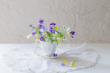 viola flowers in white cup on white background