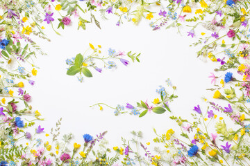 Naklejka na ściany i meble beautiful wild flowers on white background