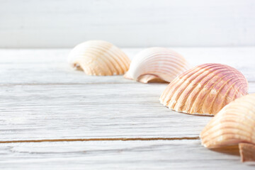 A closeup view of a row of scallop seashells on a rustic wooden surface, as a background image.