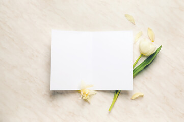 Blank card with flowers on white background