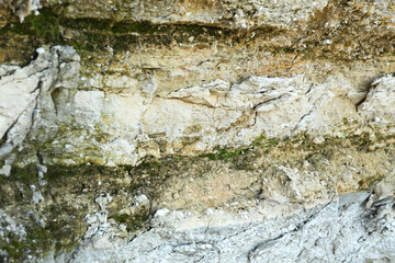 Texture of rock as background